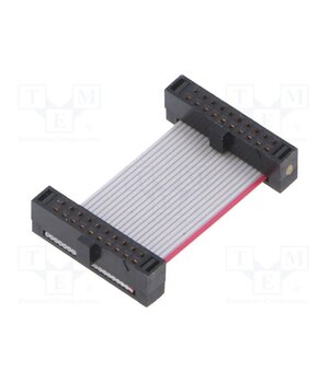 FFSD-10-D-01.00-01-N Ribbon cable with IDC connectors; IDC,both sides; 25.4mm; 1" ytD_sDplYn0qxnpkQTHsFUE581Xy56050qE0vzSsToY