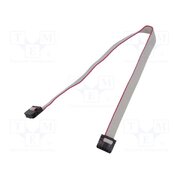 DS1052-01-082B2NA201501 Ribbon cable with IDC connectors; Tape ph: 1mm; Contacts ph: 2mm bAn3i6OUSL_BgyQReSlNZQg4MGa_0B8391O7RKaLipk