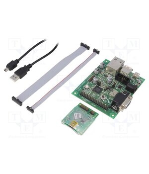 ENW89837AVKF Dev.kit: Bluetooth Classic / Low Energy; prototype board x2 V4k4WF9ZfpoRLTDm96u0ww6UFR9aF6LqR2Q2PnVJ4OE