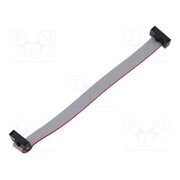 FFSD-05-D-04.00-01-N-R Ribbon cable with IDC connectors; IDC,both sides; 101.6mm; 4" YE4DtjiTwkhXxD3PaOlb2TQZasf3TX70yzi1Eeb2PYE
