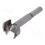 0023903200100 Machine forstner bit; for wood; Ø: 32mm; L: 90mm; Socket size: 10mm vsYxA581CNGU4hNBpBnTv0aWzXXNRs3lrSS7TtLcz88