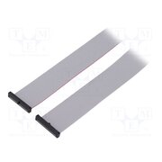 FFSD-20-D-20.00-01-N Ribbon cable with IDC connectors; IDC,both sides; 508mm; 20" NJZ9asbsW0euwAgEgLaTHD0Vp7l2mn7c9Y1-Kj0xvTg
