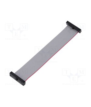 FFSD-13-D-04.00-01-N Ribbon cable with IDC connectors; IDC,both sides; 101.6mm; 4" QT8e8m7M-Rh-re0VJg7vF1GXhFCQp1fBeeMRbkiZ1MM