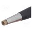 2-163 Brush; brass wire; L: 120mm; Ø: 4mm; Mat: metal,plastic uPtoBodUDGJS-yd-vdT92ygZVXmaalTghA0ZOa1nepQ