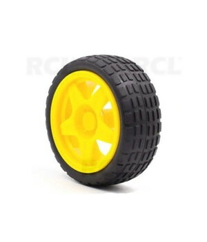 Robota ritenis

 ABRV006.jpg