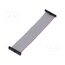 FFSD-17-D-04.50-01-N Ribbon cable with IDC connectors; IDC,both sides; 114.3mm; 4.5" RLJRxlBMvgiy0dKi63bwy-4Fif6hFmQAJ9fF_0eyitA