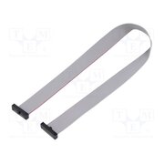 FFSD-10-D-12.00-01-N Ribbon cable with IDC connectors; IDC,both sides; 304.8mm; 12" KevJds2MF0oUS1VHGrNTyUsw7HvW2uXFO-bmQPa_zr4