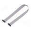 FFSD-10-D-12.00-01-N Ribbon cable with IDC connectors; IDC,both sides; 304.8mm; 12" KevJds2MF0oUS1VHGrNTyUsw7HvW2uXFO-bmQPa_zr4