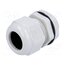 AG-25GY1 Cable gland; with long thread; M25; 1.5; IP68; polyamide; grey Ef_1e7BWmzjeynrbFvl1N7eJ_SWNbIebdQSUy5DW3TA