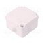 0224-00 Enclosure: junction box; X: 88mm; Y: 88mm; Z: 60mm; wall mount; IP55 XYimxAqKMfg-RjVuZyaOqE2TWw_H0m6Ixqg7HHvxmls