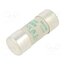 442125 Fuse: fuse; 25A; 690VAC; aM; ceramic,cylindrical,industrial uf9-VUcLvDN9CyHwn5j8apPt50dlQesug6wTwptc8cU