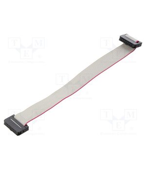 DS1052-01-142B2MA201501 Ribbon cable with IDC connectors; Tape ph: 1mm; Contacts ph: 2mm yLWFRvY02OjGUZvwR0CfOd7cEoK8I--iuyHr7lVPDlY
