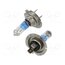 LLXH7150TR Filament lamp: automotive; PX26d; 55W; 12V; white-blue; +150%; H7 nHJEiJA74xrgzY-7dP_2Nf6wNBNIwMSPF_WQ8q7_YBo