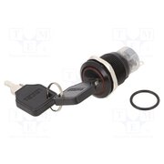 LAS1-AGQ-11Y/21/A Switch: key switch; Stabl.pos: 2; Switch.method: ON-ON; Ø19mm; 90° pDZX9sONTYgnm8MwQSelJWHw2ONfaROTT86RuuOOMcs
