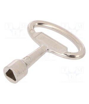 2.KL-T9.002-02 Key; zinc and aluminium alloy; nickel; Key code: T9; 65mm b_TWZB6miectWrJ0iZfPiPp2wUXNuxkAuy5RJJVZqbc