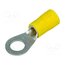 FVGS6-6 (LF) K Tip: ring; M6; Ø: 6.5mm; 2.5÷6mm2; crimped; for cable; insulated QRbxya2fylVzzUXhRerWi8e6Ch7Hcun0U9gRgQkoXDo