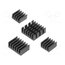 FIT0651 Heatsink; black; aluminium; 4pcs; thermal adhesive tape 2Uh4nOnFyFTCMSSRIPlWR-xYpZU_GLX7NzfB1OkbGLk