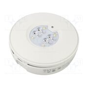 RT2SSO150SA1H Lamp: LED emergency luminaire; RoundTech; IP44; white; 0.3W; 150lm F2Hn4Wd_2So2I9eVgQnu3rDtigBk20Vf8b9-jfRViwo