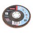 623196000 Flap grinding wheels; Ø: 125mm; Granularity: 60; 22.23mm cvSl1SPcZhl8rdrunAeCcjUU7J_hllc-QkVFprVNX8s