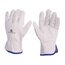 FBN4910 Protective gloves; Size: 10; natural leather; FBN49 Aw52Wu1FD1iQyxiYDpU0XccizwBavfwhDeS88n4emaY