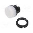 ZA2BV01 Control lamp; 22mm; Harmony XAC; IP65; -40÷70°C; Cutout: Ø22mm 58gfyimaCmSINrAQC3catPXC6omS2yFYz7VUT2uWW5s