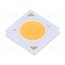 BXRH-30G4000-F-83 Power LED; white warm; COB; 38.4W; 3000K; 4421lm; 120°; CRImin: 90 FXlPU7Vd9Icz509r2BUb66go5AJJ8GDAtrMR21pVFFo