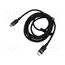 TRDBH Cable; USB 2.0; USB C plug,both sides; nickel plated; 2m; black _5-RO97xteu2_FhSucp4p7hzfe3EZqI3qQy7g2zb-p0