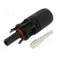 SOLCON10 Connector: solar; plug; male + female; 30A; 1.5kV; IP67; straight nCpMsI5nAkvLMsJkv4BPZldum89a3bH7YTCfMY552J4