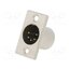 NC5MP Connector: XLR; socket; male; PIN: 5; straight; soldering; silver 3vs4QgUXpbYJiMnNhjFHX5E9ZT-nvXEcUAWB3TSZySo