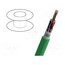 13-MYF21Z12P-V1 Wire: test lead cable; hybrid,MOTIONLINE® ADVANCED; green; PUR hdpW3zUTu2f-8Hli3fyQmhXyIjOQx42QjNz6-_qriBU