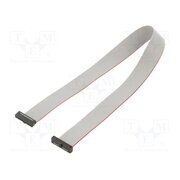 FFSD-11-D-12.00-01-N Ribbon cable with IDC connectors; IDC,both sides; 304.8mm; 12" Gu2UY-Vk2mFzkNgwM68XhOQxHOwzswmp_Qef0bb68rs