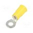 8217 Tip: ring; M4,5; Ø: 4.98mm; crimped; for cable; insulated; tinned lAGeXQ-UarE5cddK7PudVQEYpK6OTgmb-hSi6NgkUEw