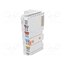 BK9050 Automation module: analog output; 0÷55°C; IP20; 24VDC; Ethernet SUeLIby0fgiLFR_qVSSqJpE7xNLZGcQEWkh04h6vsBs