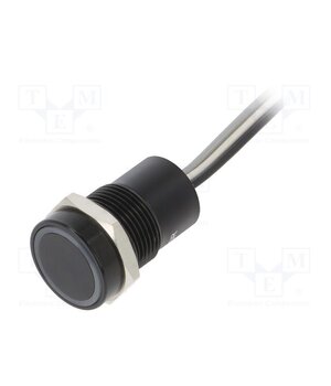 MC16MOBGR Switch: capacitive; Pos: 2; SPST-NO; 0.01A/12VDC; IP68; OFF-(ON) PgPhwb3krXgHe6cK0auSC_ond7eHfeRzxpjgqVXqwNg