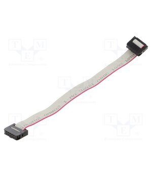 DS1052-01-102B2MA201501 Ribbon cable with IDC connectors; Tape ph: 1mm; Contacts ph: 2mm 5pDyMQftO-VwVnC8gR1cSD9SAH3fIOgLSpwXgEGsvus