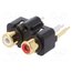 FW6192 Connector: RCA; socket; female; double; straight; THT; gold-plated O2MS6YT8HveeNhdqHCaNagKwnKrLYWspvyapv6Aa8ko