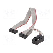 ATATMEL-ICE-CABLE Connection cable; ribbon cable RnT5Ug-CpERUQDc9QUtlZZxm1Daae4lkr9f2HBejYj8