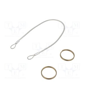 GN 111.2-320-30-A-TR Retaining cable; with 2 key rings; Plating: PVC; stainless steel L-is1bOPxwhpUdw56E0cbyP4zcXHqEQhmZVWtehYkeo