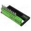 0702 930 062 Tools set: screwdriver bits; Phillips,Pozidriv®,Torx®; 1/4" lMYPf1C8oqttI6fPm8SigbWaFhvwpa8cfKt_lWe6ZWM
