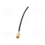 7750004 Antenna; automotive,inner; GPS; Fakra,SMB (f); 3.5m; 3÷5VDC 5gwS6mB907SXLptPcF9cHGj2vB3Fa5gFKkLZ1Wm1aY0