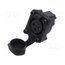 AXS3FPV Connector: XLR; socket; female; AXS; 15A; 133V; PIN: 3; IP65; straight 9z5QQ9mx-QGWzUrL7vKjo6UunwHMj-sWTFVnMaFJmWU