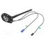 ANT.61 Antenna: automotive; car top; 0.2m; AM,FM,GPS; with amplifier k8zpvRqhKeEpFD61MV7wm9t5YHvllPcOg6lt8ucN0VI