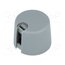 A1020048 Knob; with pointer; plastic; Øshaft: 4mm; Ø20x16mm; grey; A10 syY9uQDBxiLjKUXySKn3P2Xe8SHNlXypEcMfV4MLwPw