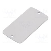 ALP 1.1 Front panel; aluminium; W: 30.8mm; L: 59.9mm; Thk: 2mm 13J6XEx6qN983ZGsr1mL9gHBaU069Ugv236f_M7MHCo