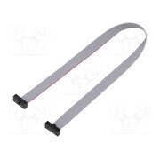 FFSD-06-D-10.00-01-N Ribbon cable with IDC connectors; IDC,both sides; 254mm; 10" CUEiAsCOZ13wJD_6WSlf5vB1_ZzxWpYtmEm_H26tG38