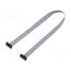 FFSD-06-D-10.00-01-N Ribbon cable with IDC connectors; IDC,both sides; 254mm; 10" CUEiAsCOZ13wJD_6WSlf5vB1_ZzxWpYtmEm_H26tG38