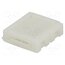 10MMBB-2 Connector: for LED stripes; for 10mm stripes; terminal; PIN: 2 YUhY4FQVd0J4SCShU8iICgL2W3jlv_sJ9F1d1zjya8w