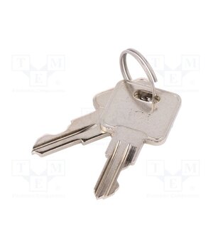 Y100AA-2-C-8-03-N-Q Switch: key switch; Stabl.pos: 3; ON-ON-ON; SP3T; Ø19.3mm; Key: flat zG3xXqeAeOekhLpxdupSyuRyy9EsWkHtTYc-Aeq56SI