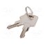 Y100AA-2-C-8-03-N-Q Switch: key switch; Stabl.pos: 3; ON-ON-ON; SP3T; Ø19.3mm; Key: flat zG3xXqeAeOekhLpxdupSyuRyy9EsWkHtTYc-Aeq56SI
