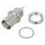 031-236 Connector: BNC; socket; female; straight; 50Ω; soldering; PTFE qeV6PpgRcVPNiKaVTrvn9bmvsxJk6packF3u9qsXO3Y